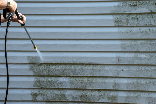Best Stucco Siding  in Manti, UT